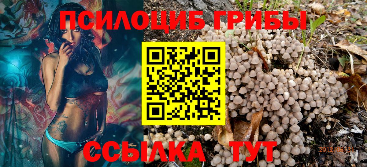 Псилоцибиновые грибы мухоморы  Вход с VPN  купить наркотик  Северодвинск 